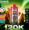 Bang Legend 120,000 puffs 5-in-1
