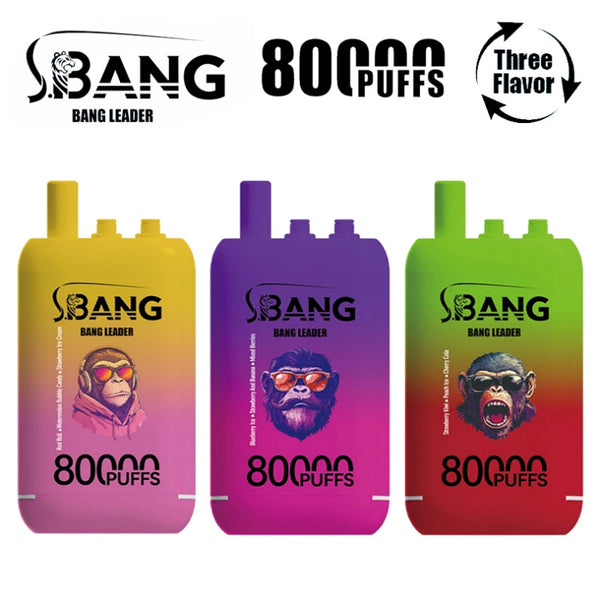 Bang Leader 80000 Puffs Disposable VapeThree Flavor 3 in 1